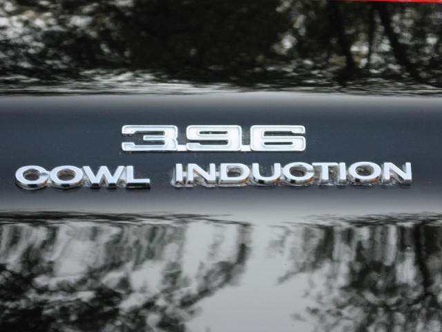 IMG_2789.JPG