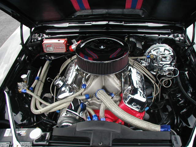 p1140011.jpg