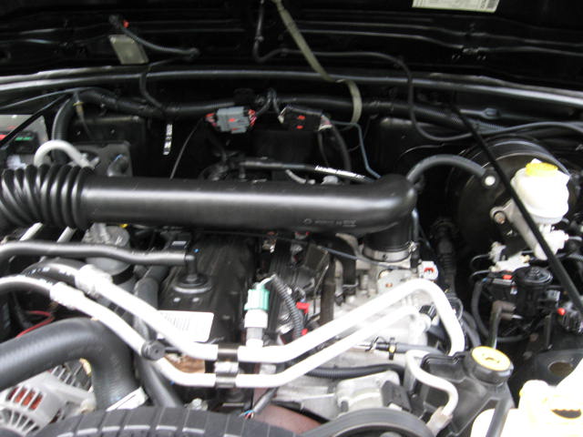 IMG_2836.JPG