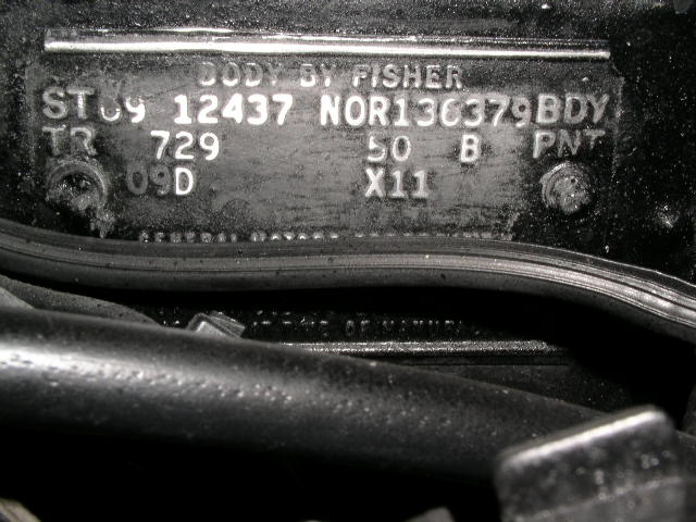 P101.jpg
