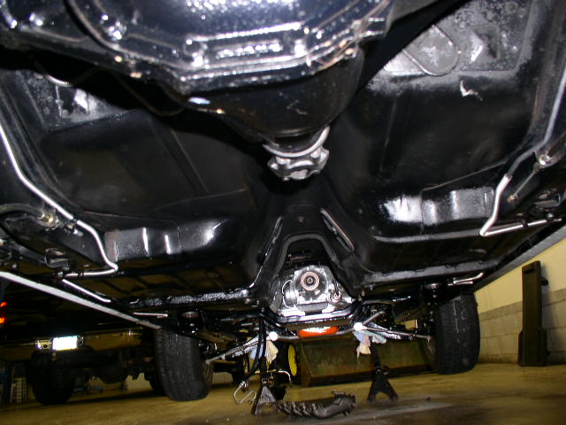 P1010012.jpg