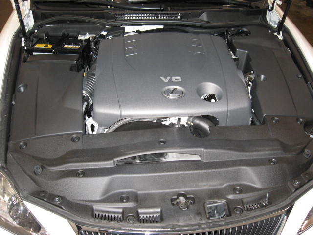 IMG_1750.JPG