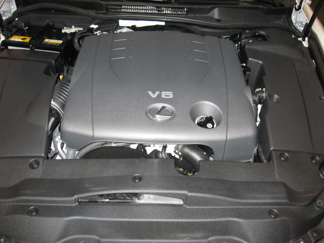 IMG_1751.JPG