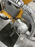 IMG 3263