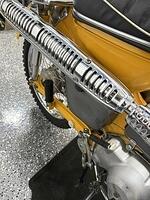 IMG 3264