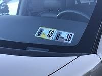 IMG 7265