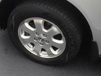 IMG 5094