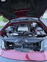 IMG 7694