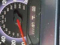 IMG 4587