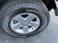 IMG 6235