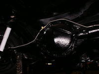 P1010017.jpg